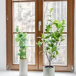 Limehome Hauptmarkt Appart hôtel Zwickau