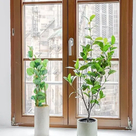 Limehome Hauptmarkt Aparthotel Zwickau